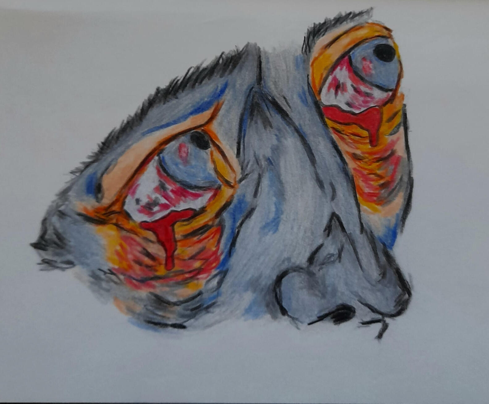 detailed coloring - traditional